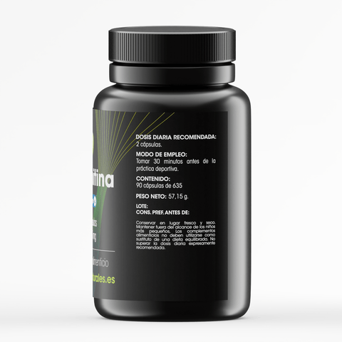 L-Carnitina 650mg - 90 cápsulas