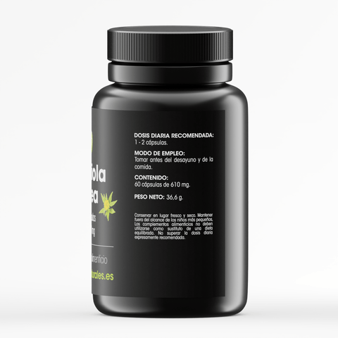 Rhodiola Rosea - 60 capsules