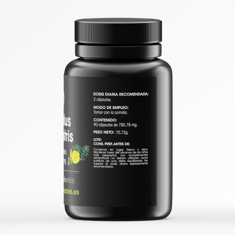 Tribulus Terrestris - 90 capsules