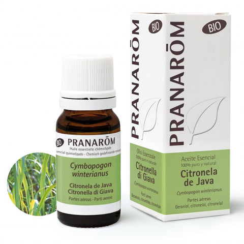 Aceite Esencial de Citronela de Java 10ml Pranarom