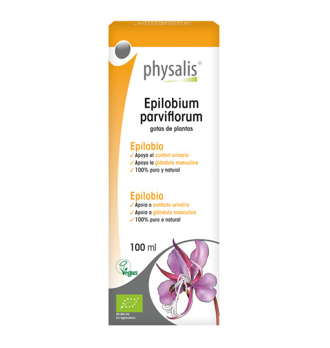 Epilobium parviflorum Physalis
